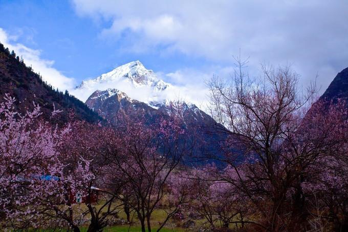 践行“四下基层”制度  为民办实事解难事