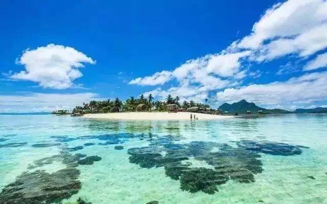 五蒙高速沱湖特大桥立柱施工完成