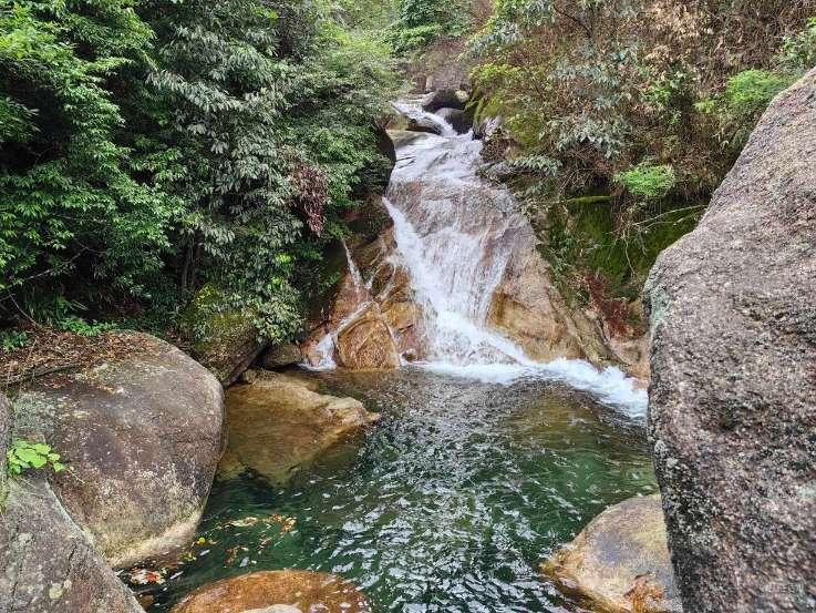 逃离马儿森林