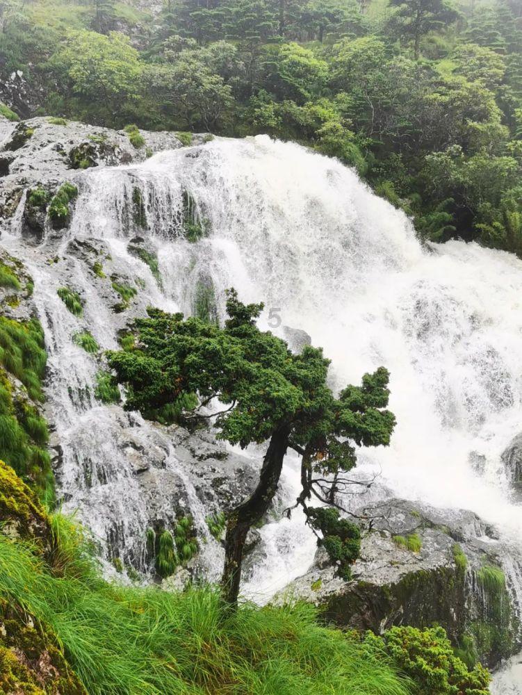 用桥筑梦山海