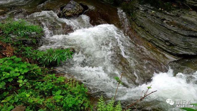 淘气兔救援