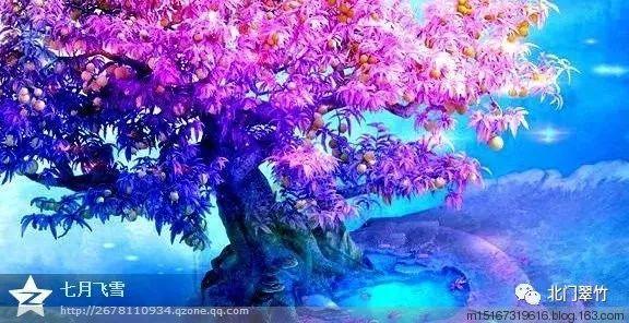 史小坑的爆笑生活11